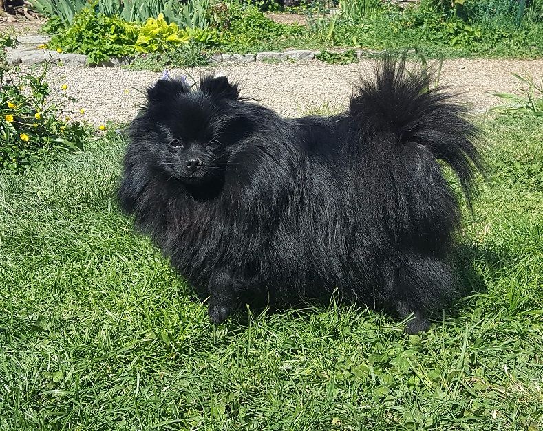 Justy Des Souffles Sacres