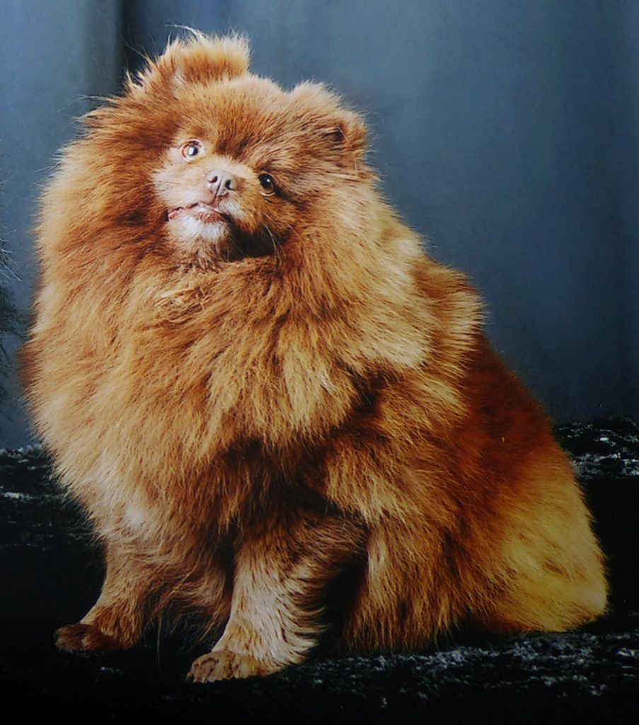 Joyce Des Souffles Sacres