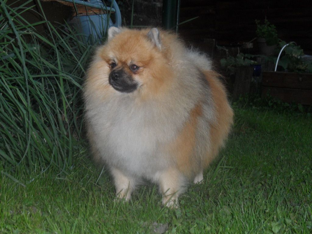 Hermes Des Souffles Sacres