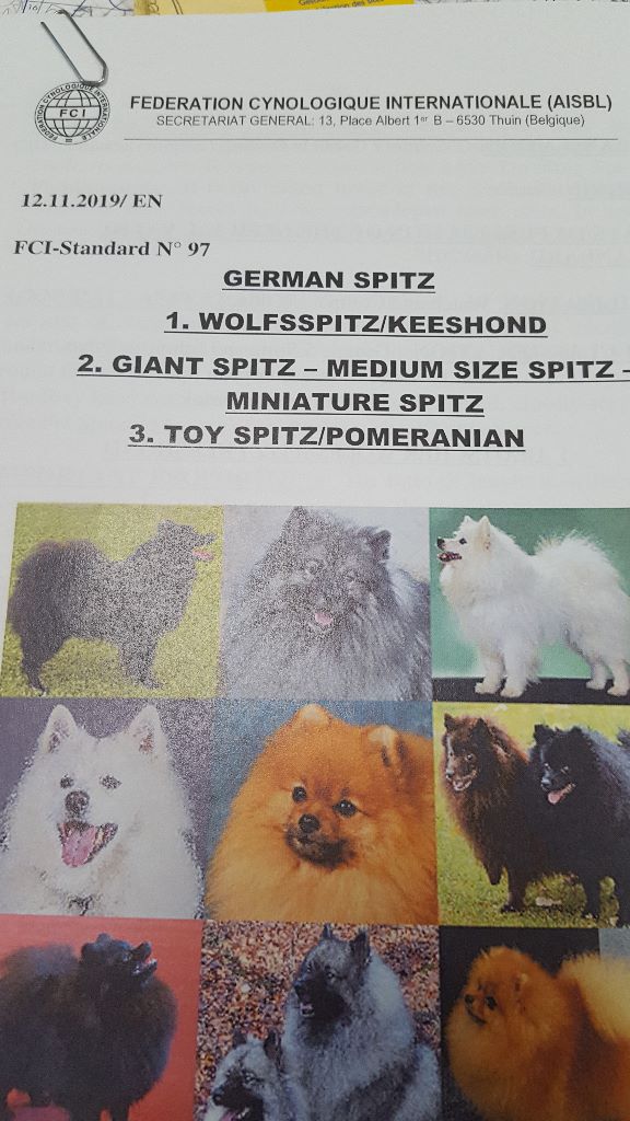 modification du standard du spitz allemand